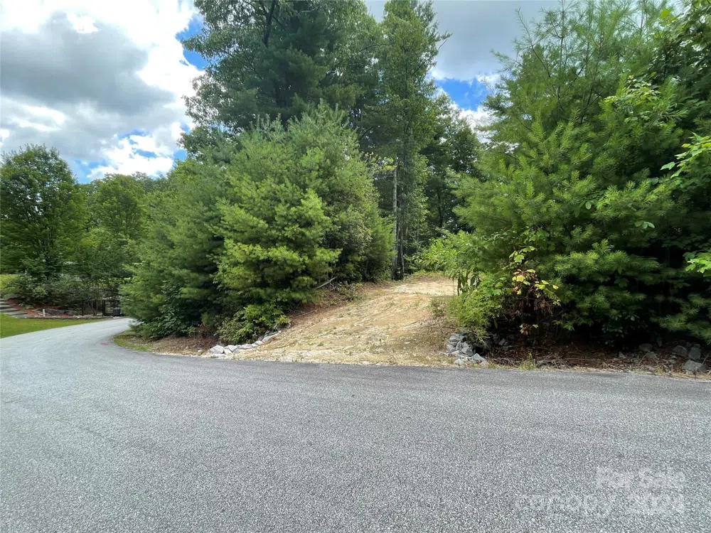 00 Willow Run Lane #6 Zirconia, NC 28790