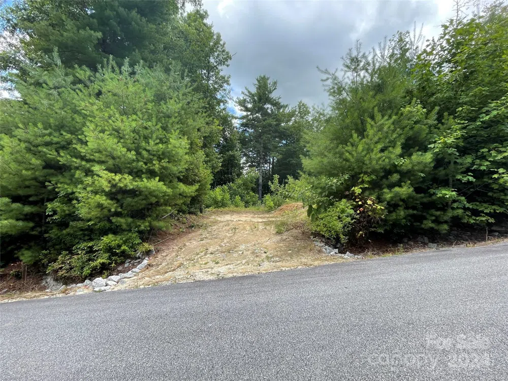 00 Willow Run Lane #6 Zirconia, NC 28790
