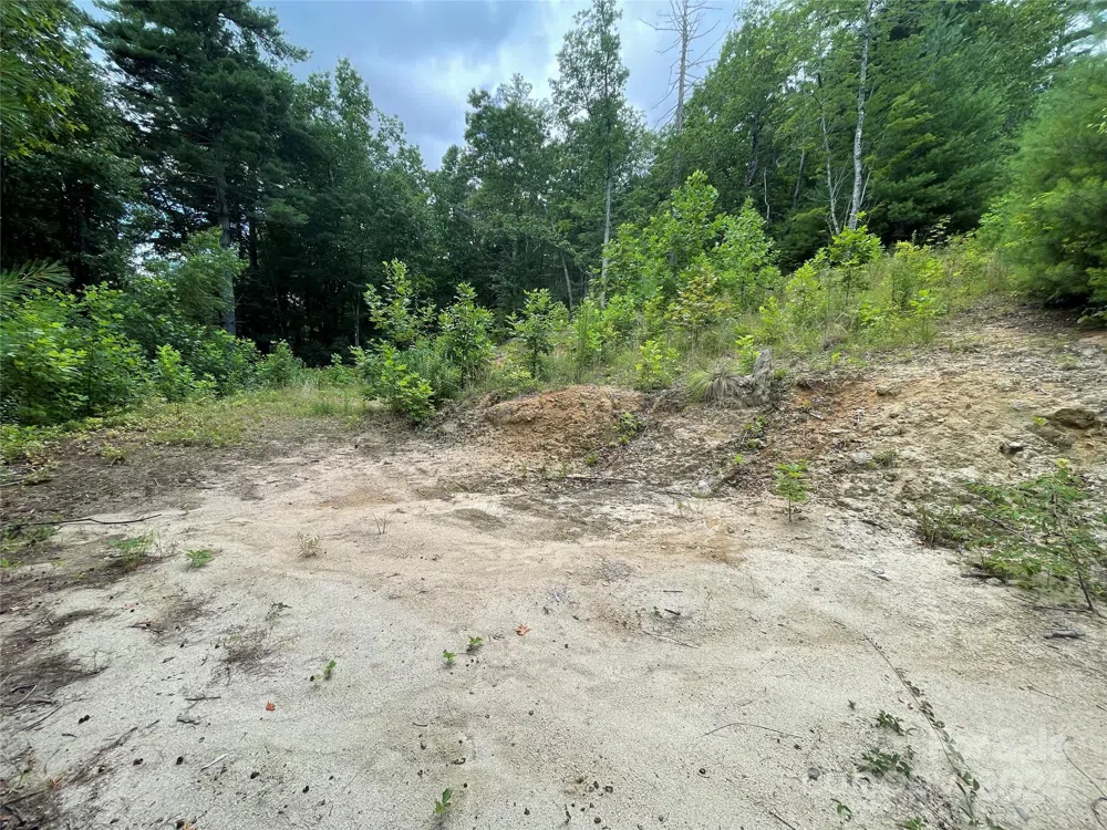 00 Willow Run Lane #6 Zirconia, NC 28790