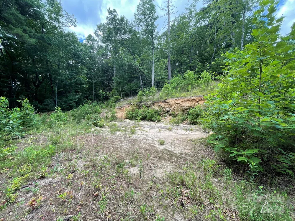 00 Willow Run Lane #6 Zirconia, NC 28790