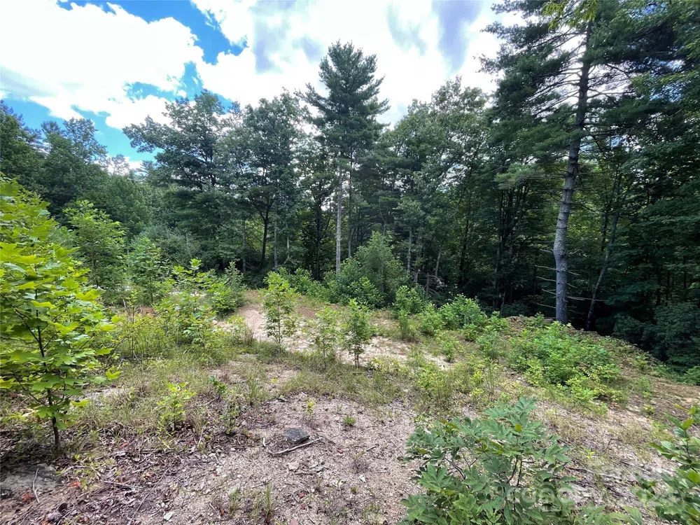 00 Willow Run Lane #6 Zirconia, NC 28790