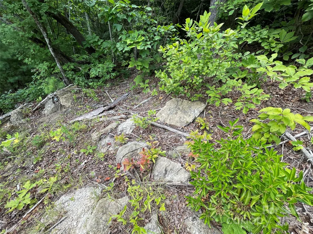 00 Willow Run Lane #6 Zirconia, NC 28790