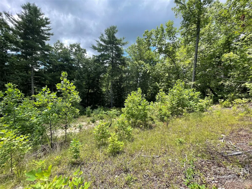 00 Willow Run Lane #6 Zirconia, NC 28790