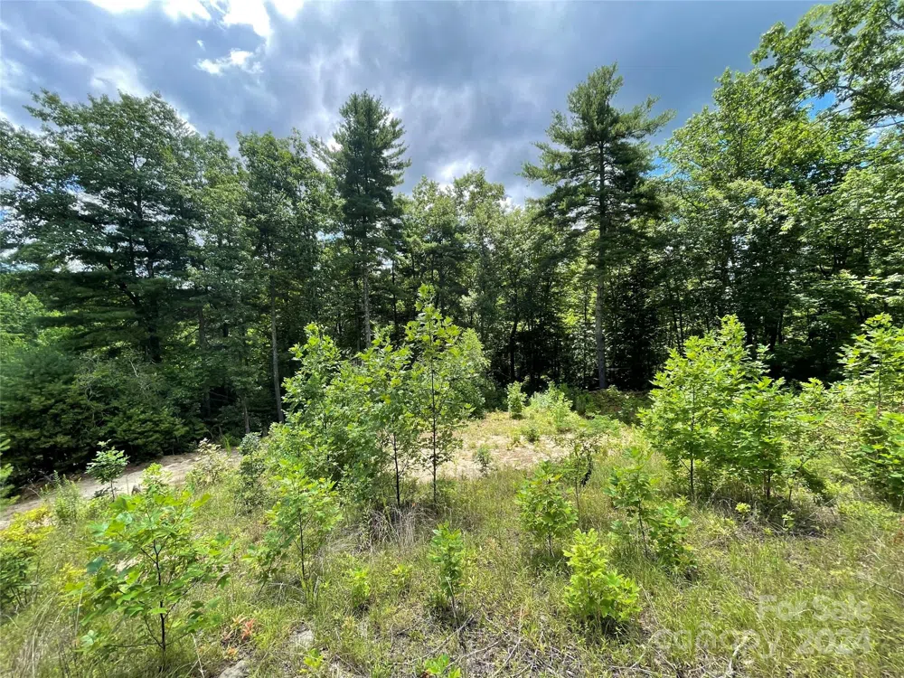 00 Willow Run Lane #6 Zirconia, NC 28790
