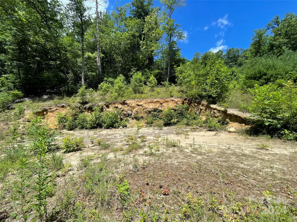 00 Willow Run Lane #6 Zirconia, NC 28790