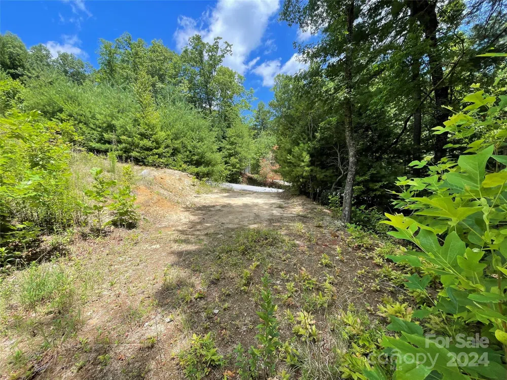 00 Willow Run Lane #6 Zirconia, NC 28790