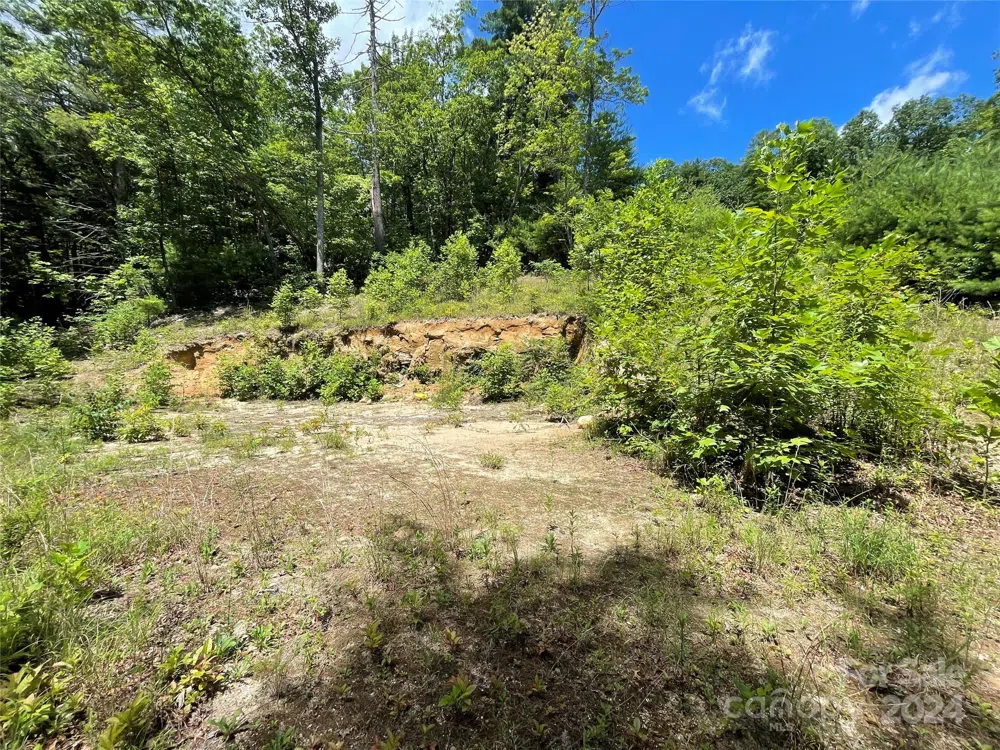 00 Willow Run Lane #6 Zirconia, NC 28790