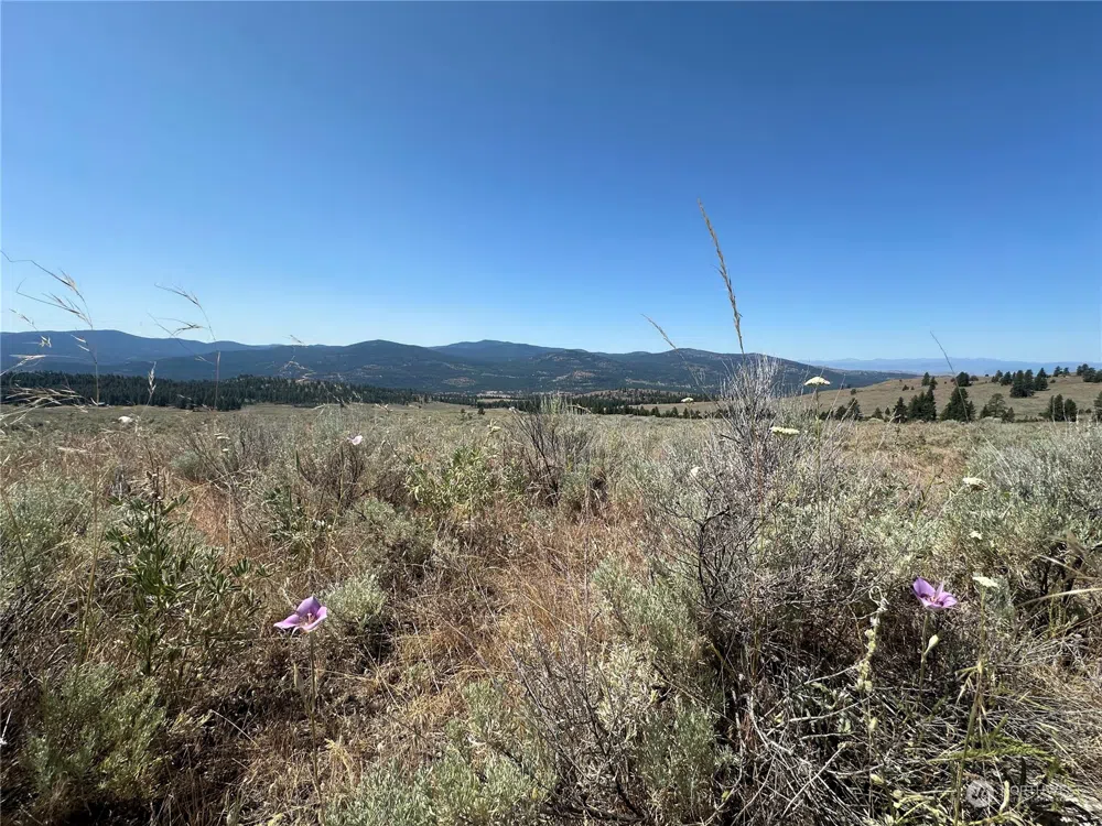 25 Harvest Moon Lane Tonasket, WA 98855