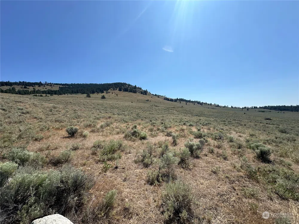 25 Harvest Moon Lane Tonasket, WA 98855