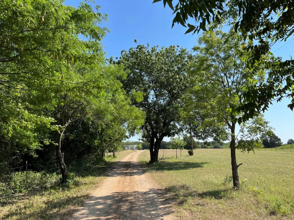 299 Private Road 1452 Chico, TX 76431