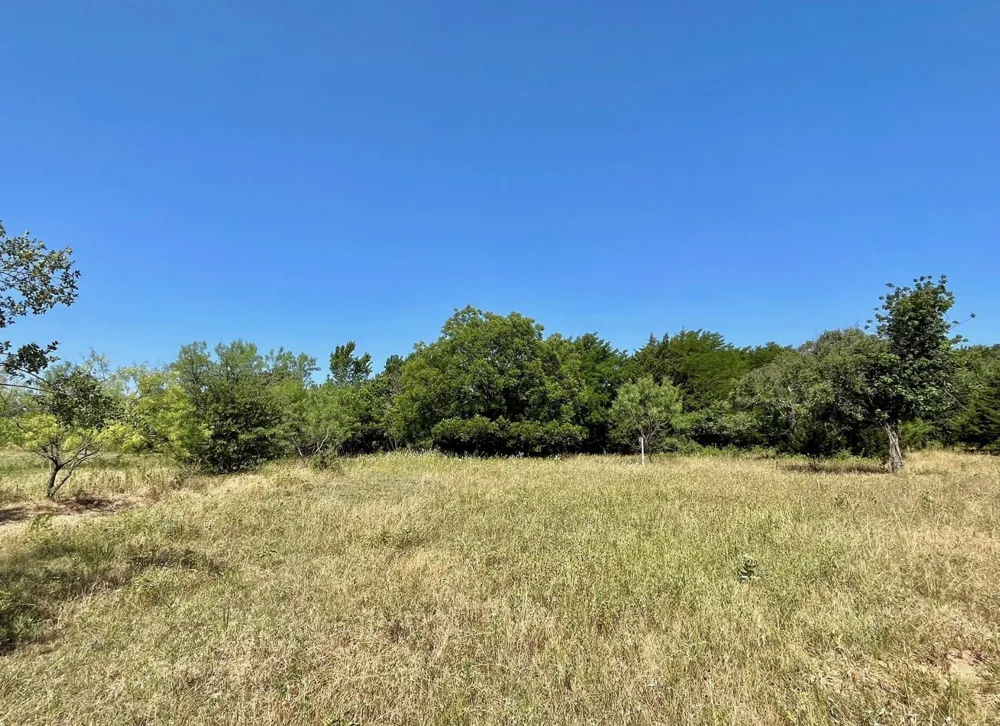 299 Private Road 1452 Chico, TX 76431