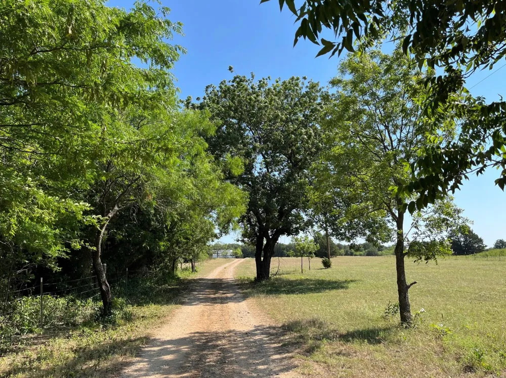 299 Private Road 1452 Chico, TX 76431