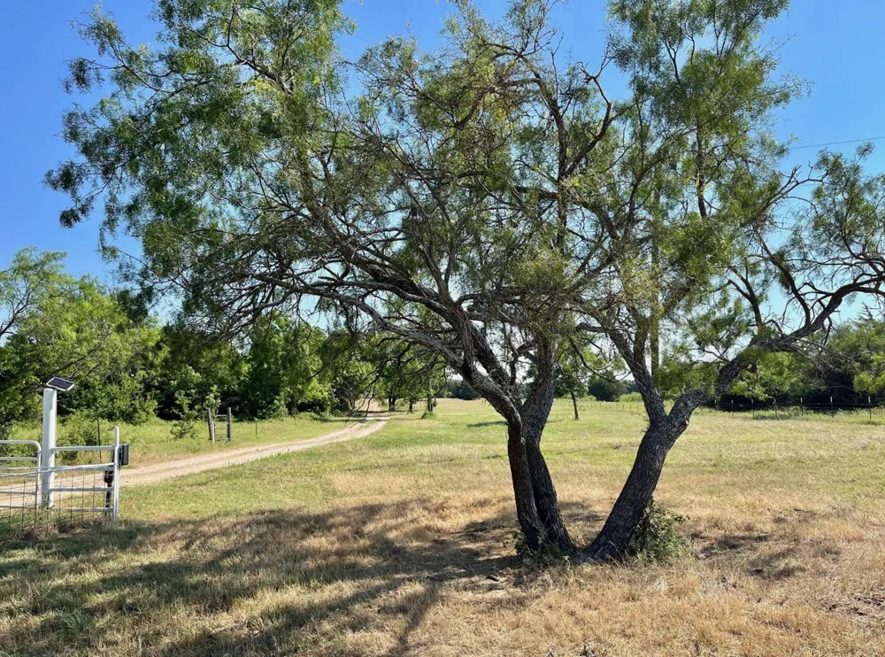 299 Private Road 1452 Chico, TX 76431
