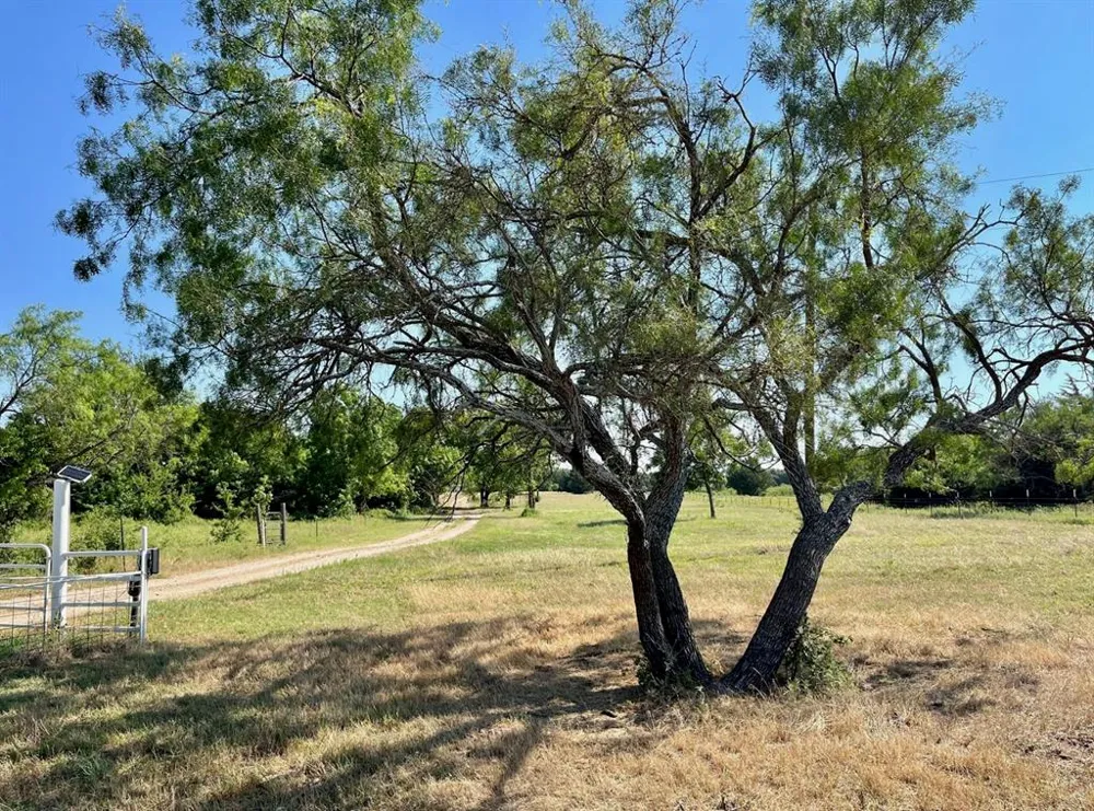 299 Private Road 1452 Chico, TX 76431