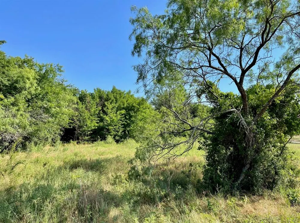 299 Private Road 1452 Chico, TX 76431