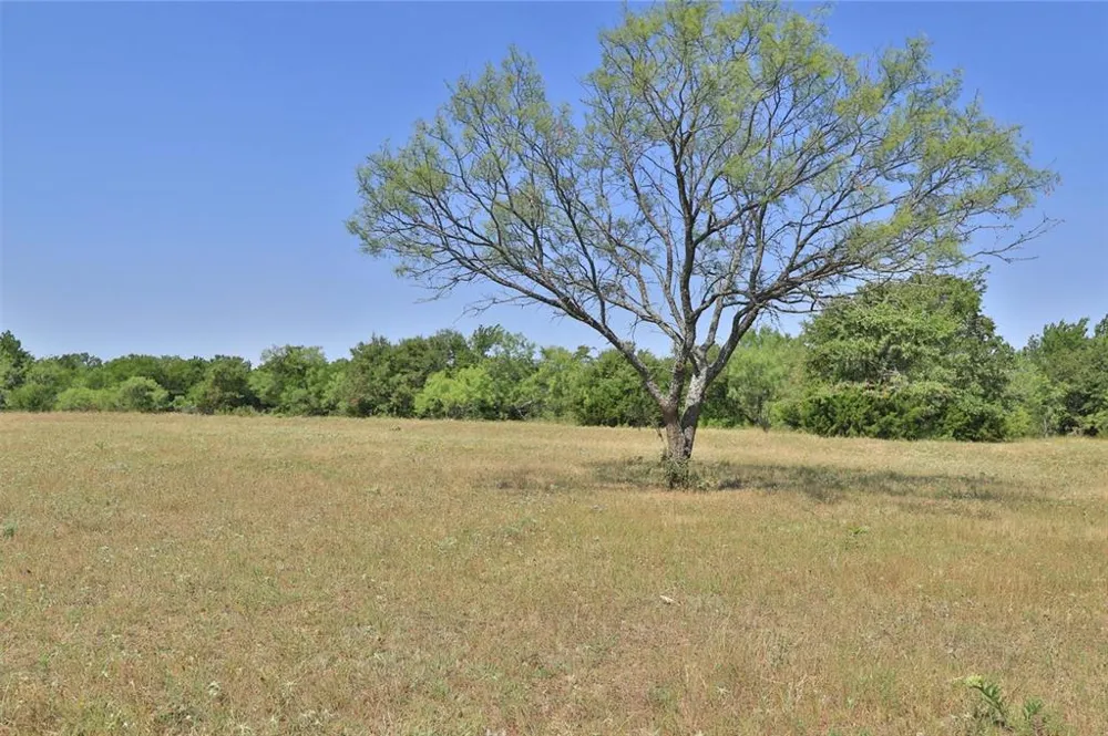 299 Private Road 1452 Chico, TX 76431