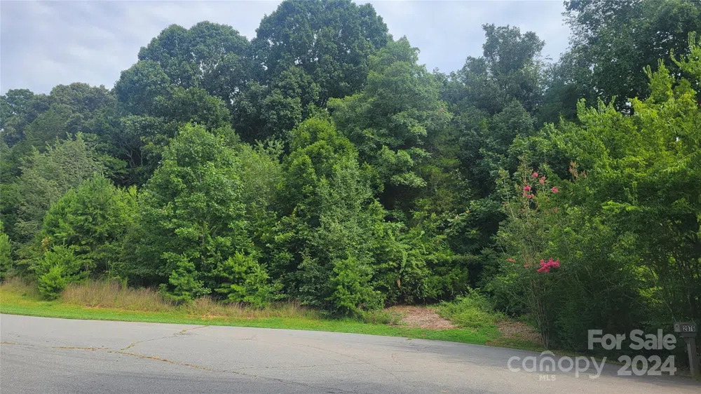 0 Eva Court Lincolnton, NC 28092