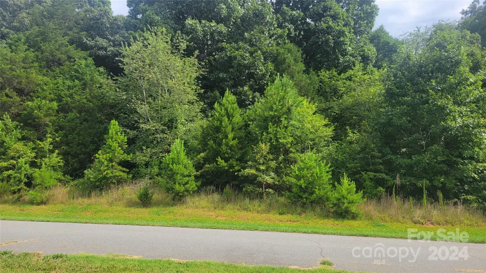 0 Eva Court Lincolnton, NC 28092