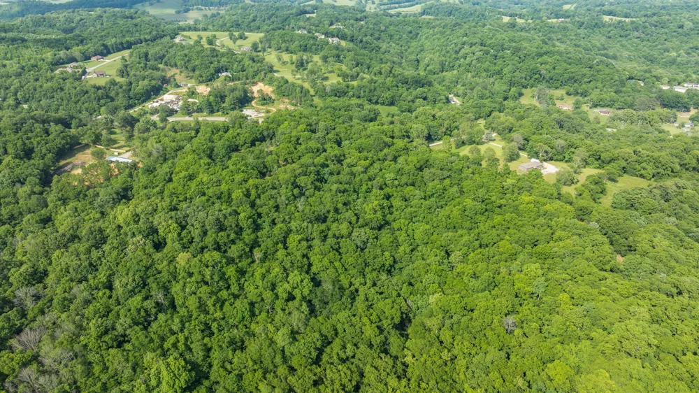 1811 Columbia Hwy Pulaski, TN 38478