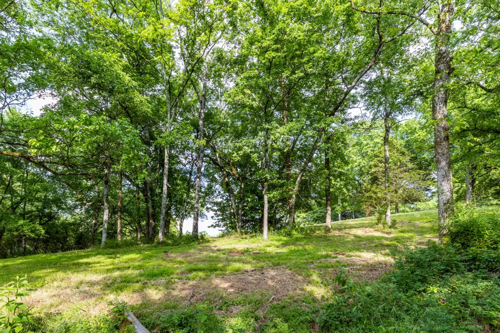 1811 Columbia Hwy Pulaski, TN 38478