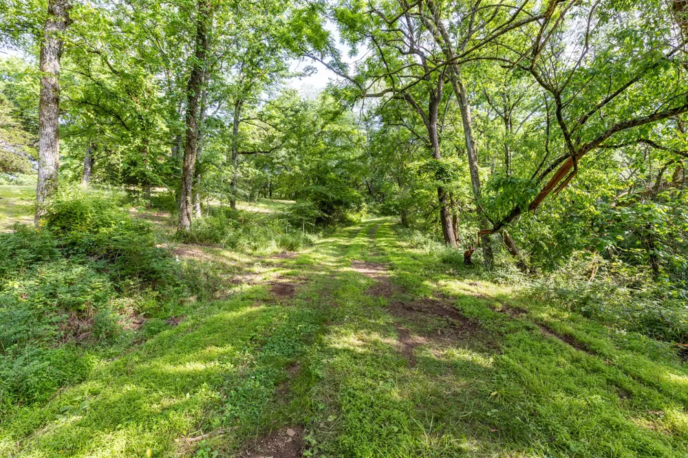 1811 Columbia Hwy Pulaski, TN 38478