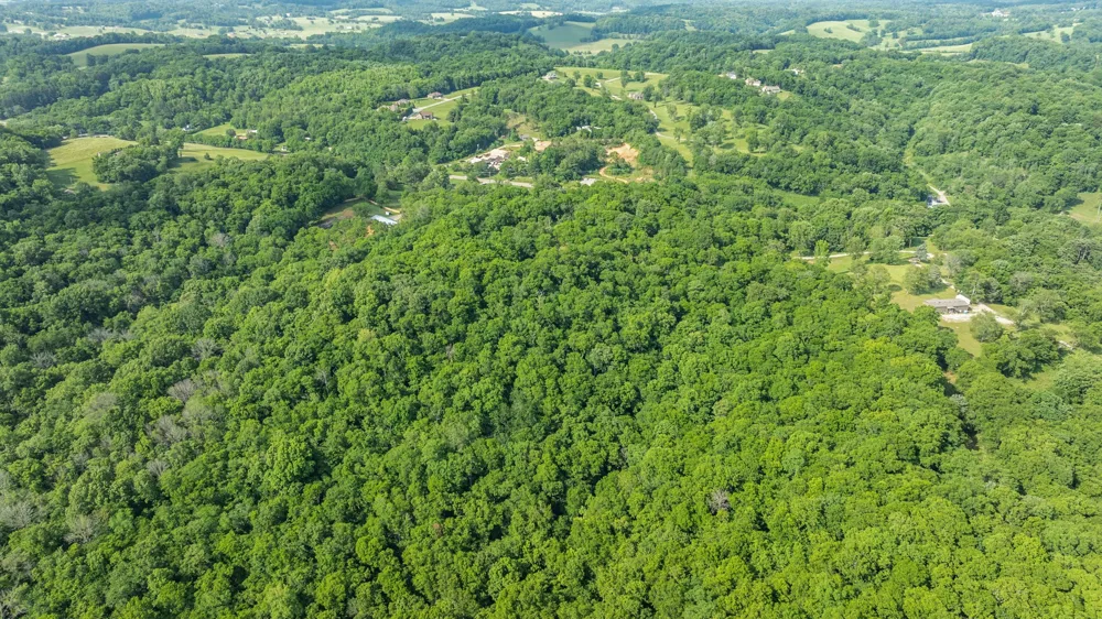 1811 Columbia Hwy Pulaski, TN 38478