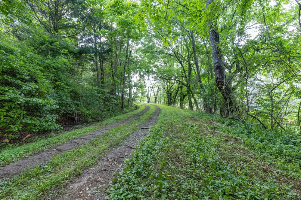 1811 Columbia Hwy Pulaski, TN 38478