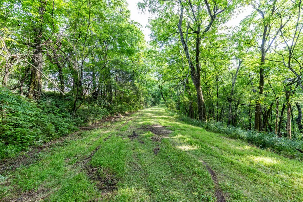 1811 Columbia Hwy Pulaski, TN 38478