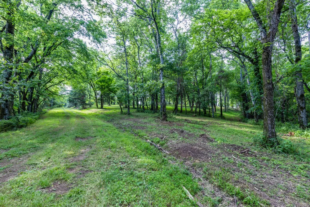 1811 Columbia Hwy Pulaski, TN 38478
