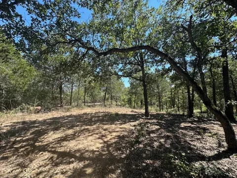 Ripple Brook Drive