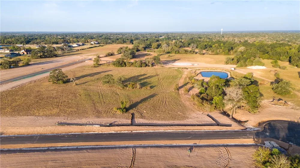 10005 Hidden Pond Drive Iola, TX 77861