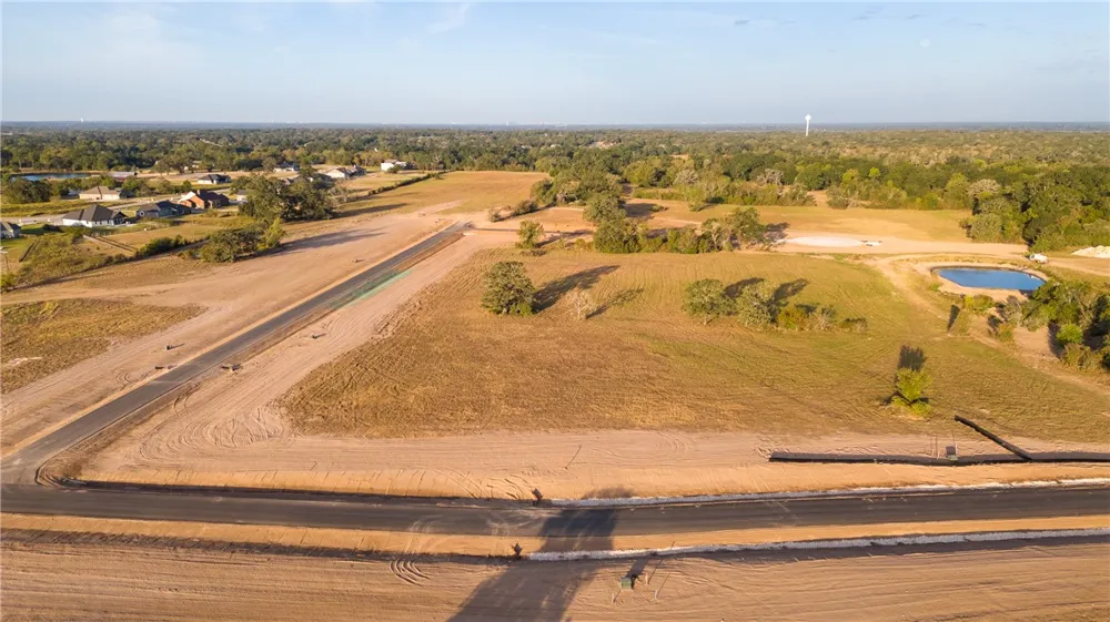 10005 Hidden Pond Drive Iola, TX 77861