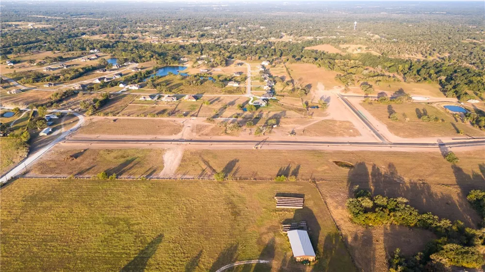 10005 Hidden Pond Drive Iola, TX 77861