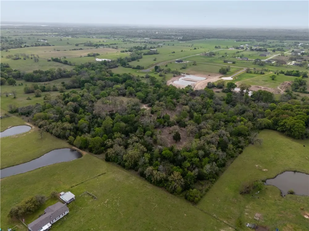 10005 Hidden Pond Drive Iola, TX 77861