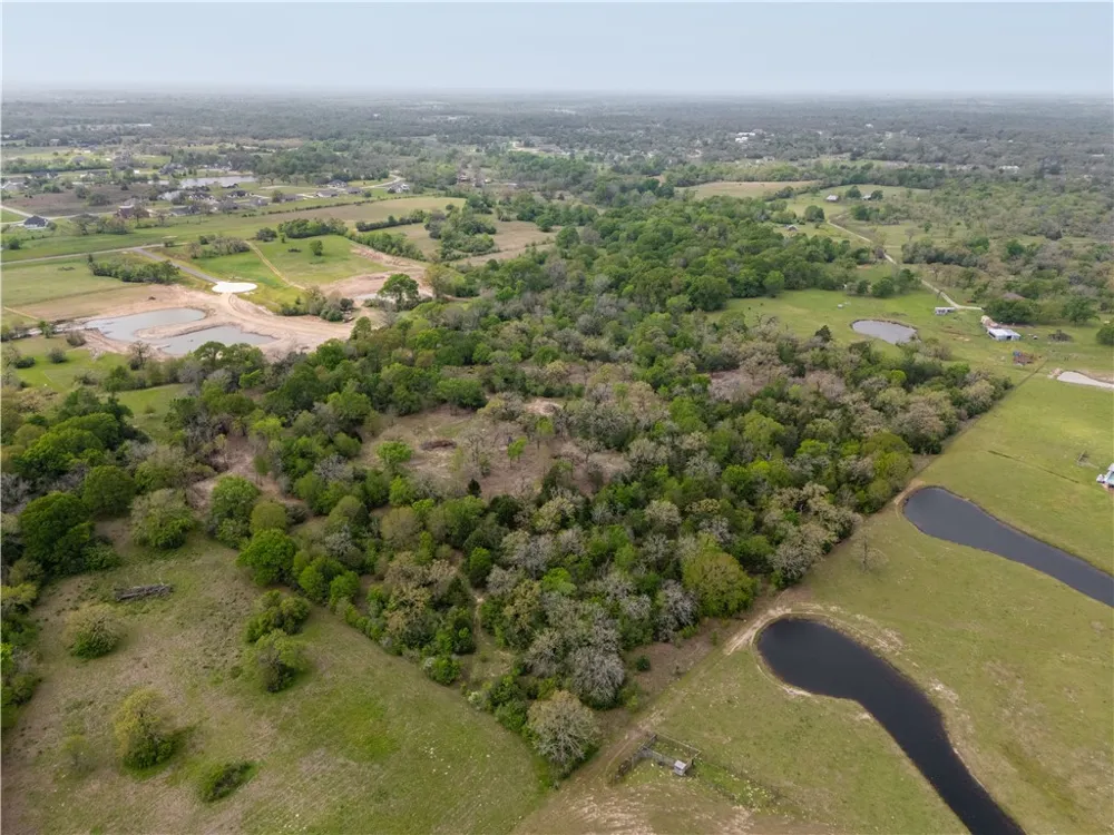 10005 Hidden Pond Drive Iola, TX 77861