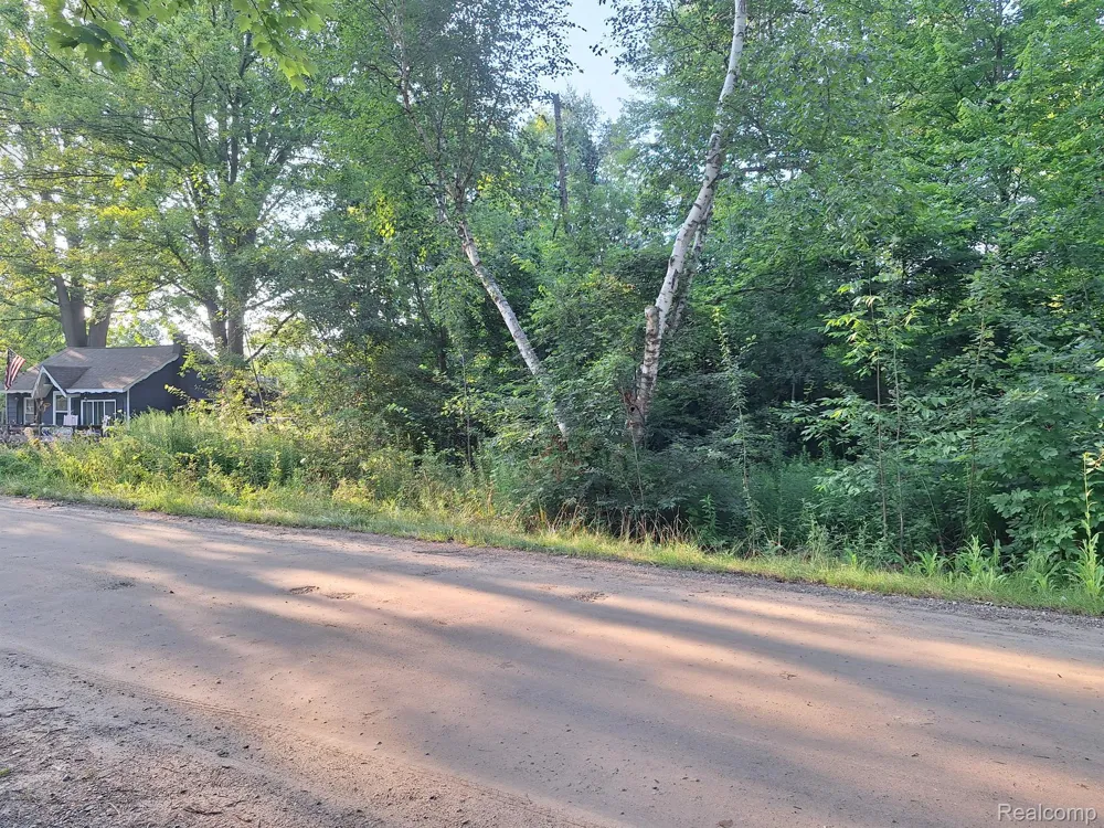 Birchwood Road Worth Township, MI 48450