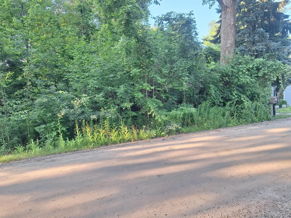 Birchwood Road Worth Township, MI 48450