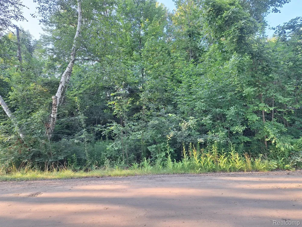 Birchwood Road Worth Township, MI 48450