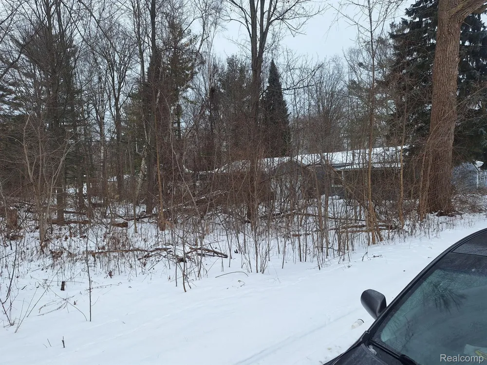 Birchwood Road Worth Township, MI 48450