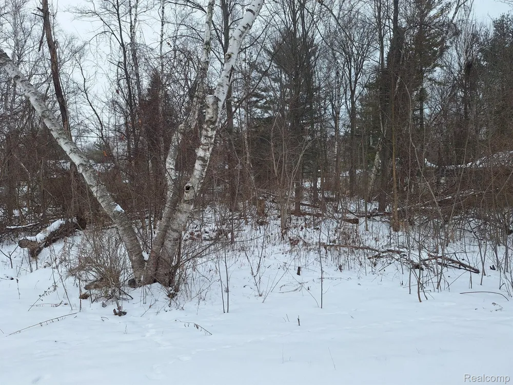Birchwood Road Worth Township, MI 48450