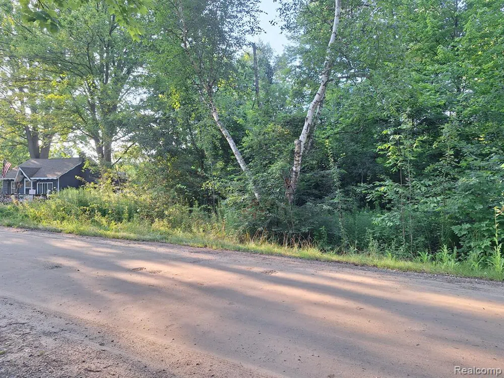 Birchwood Road Worth Township, MI 48450