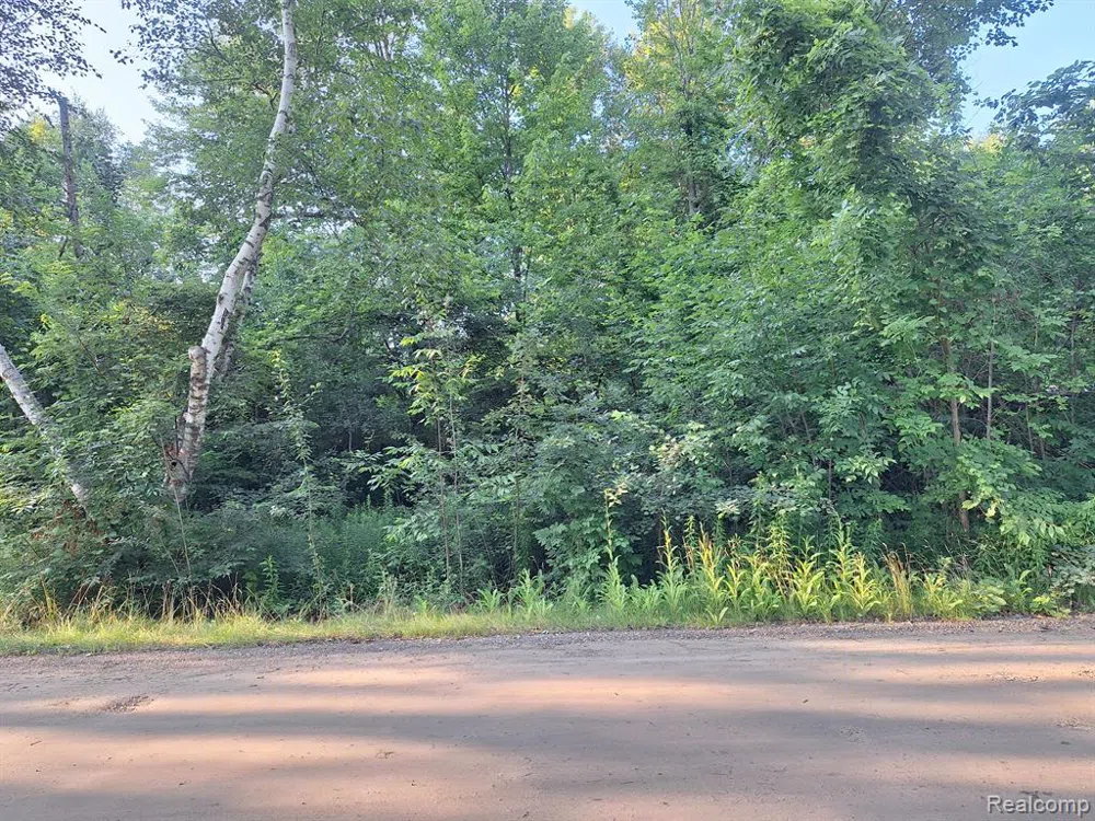 Birchwood Road Worth Township, MI 48450