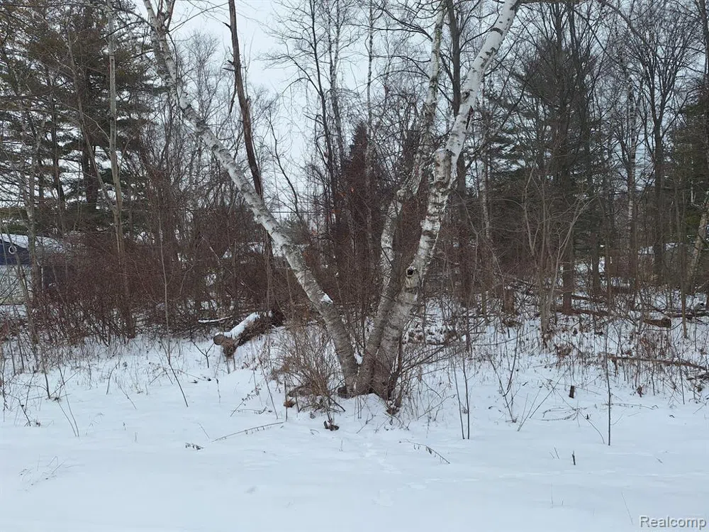 Birchwood Road Worth Township, MI 48450