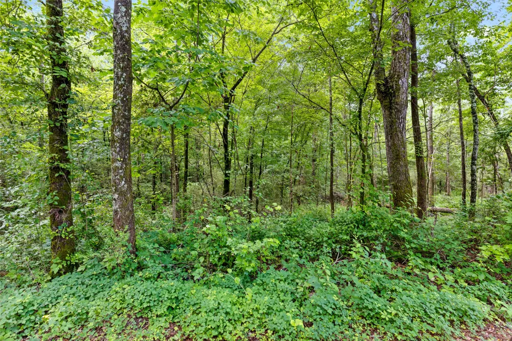 0 N Highway 27 La Fayette, GA 30728