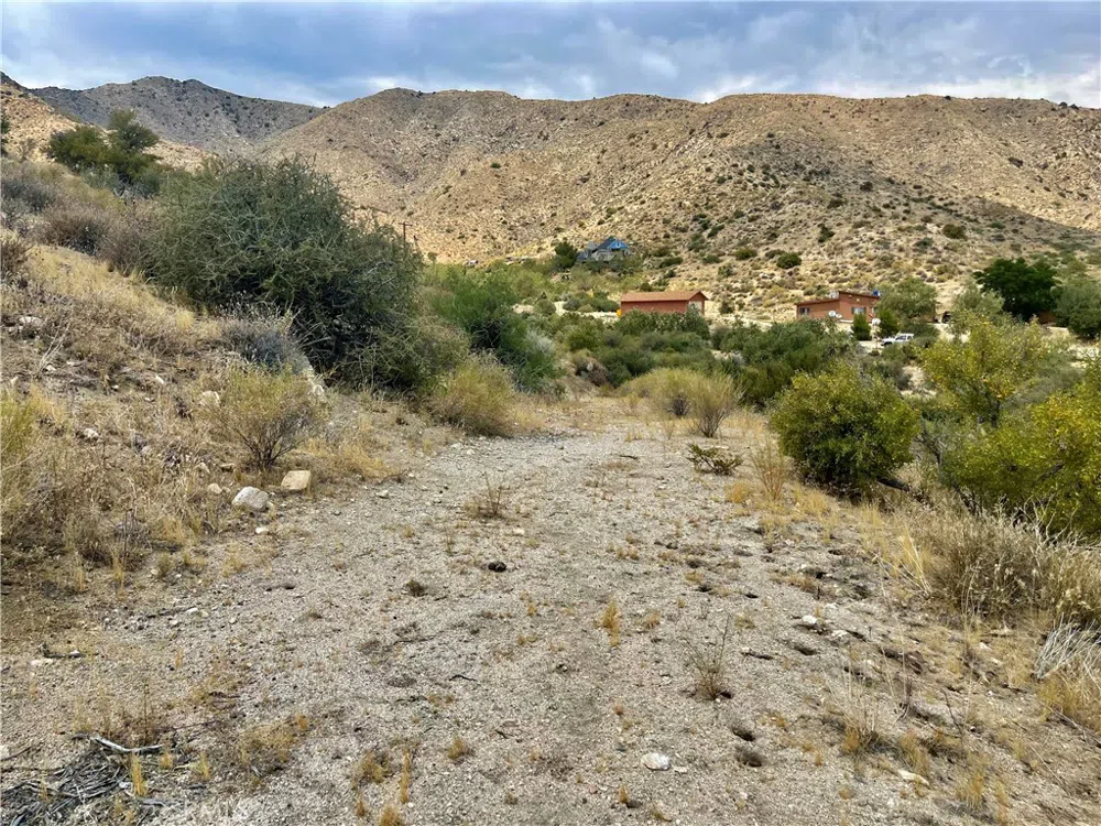 Pinon Ave Morongo Valley, CA 92256