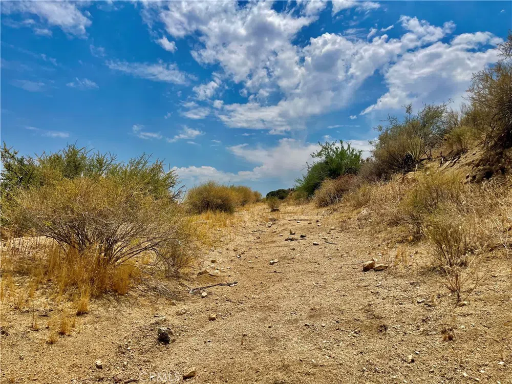 Pinon Ave Morongo Valley, CA 92256