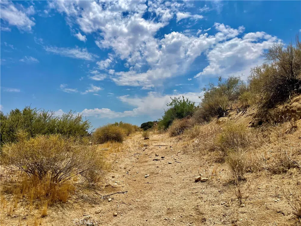 Pinon Ave Morongo Valley, CA 92256