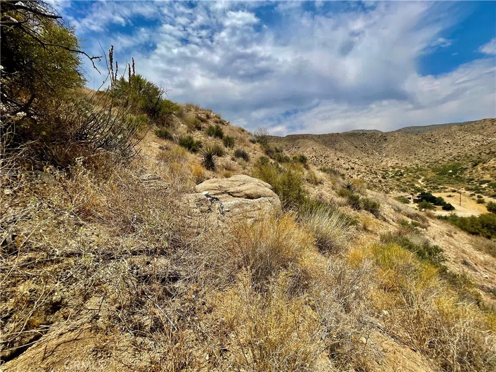 Pinon Ave Morongo Valley, CA 92256