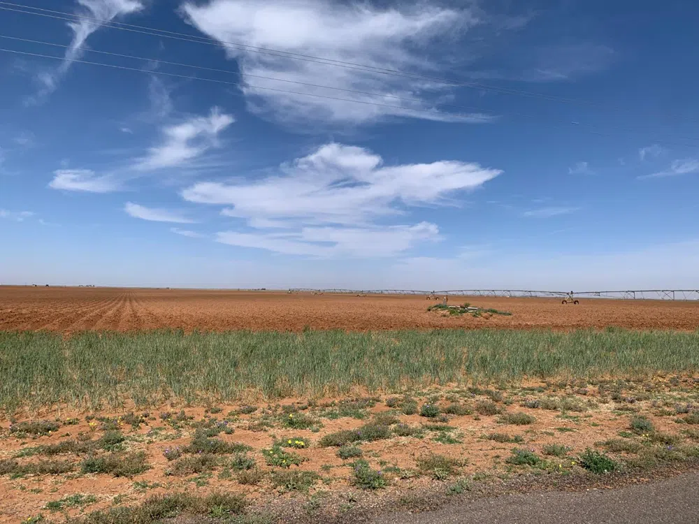 FM 3261 Ropesville, TX 79336