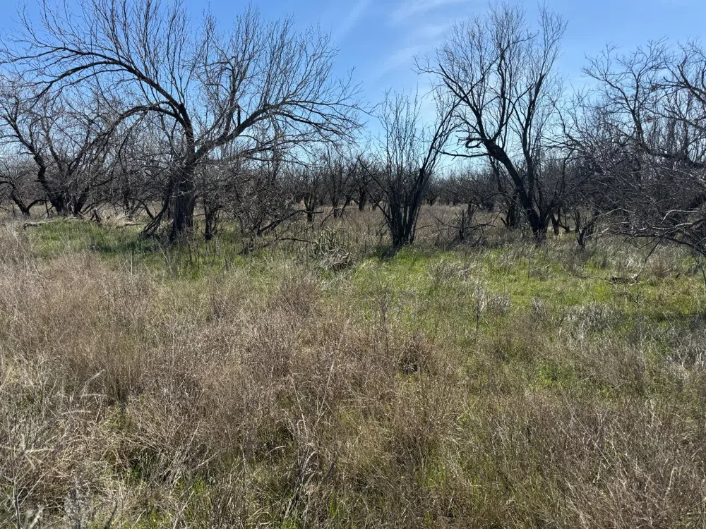 County Road 355 Post, TX 